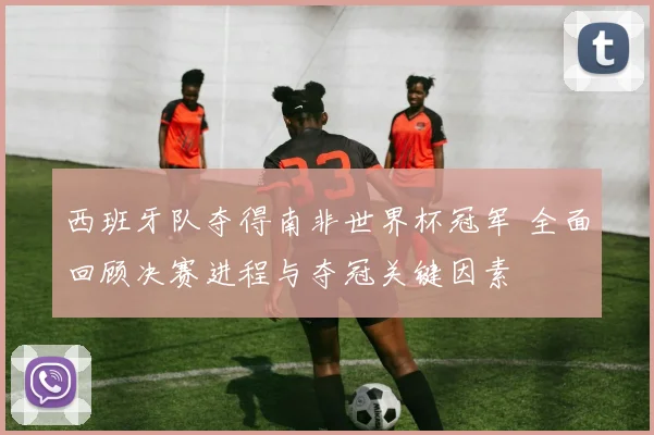 西班牙队夺得南非世界杯冠军 全面回顾决赛进程与夺冠关键因素