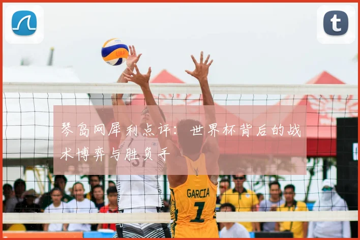 琴岛网犀利点评：世界杯背后的战术博弈与胜负手