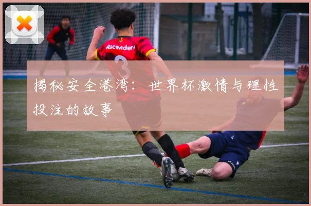 揭秘安全港湾：世界杯激情与理性投注的故事