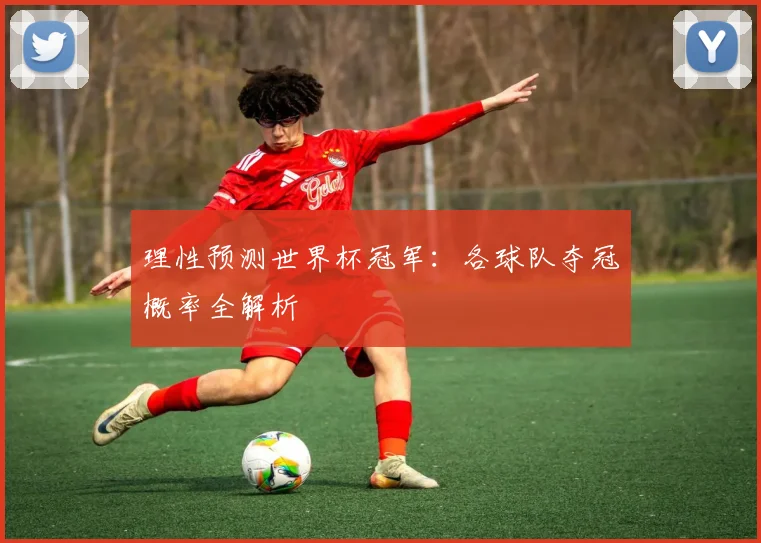 理性预测世界杯冠军：各球队夺冠概率全解析